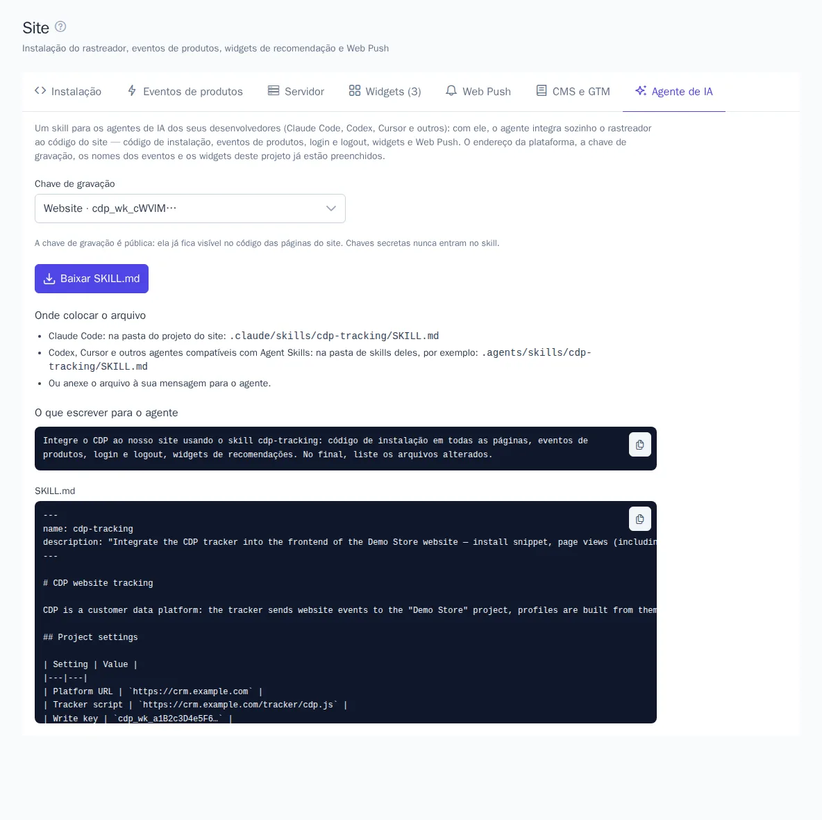 Aba “Agente de IA”: skill com os dados do projeto para um agente de IA