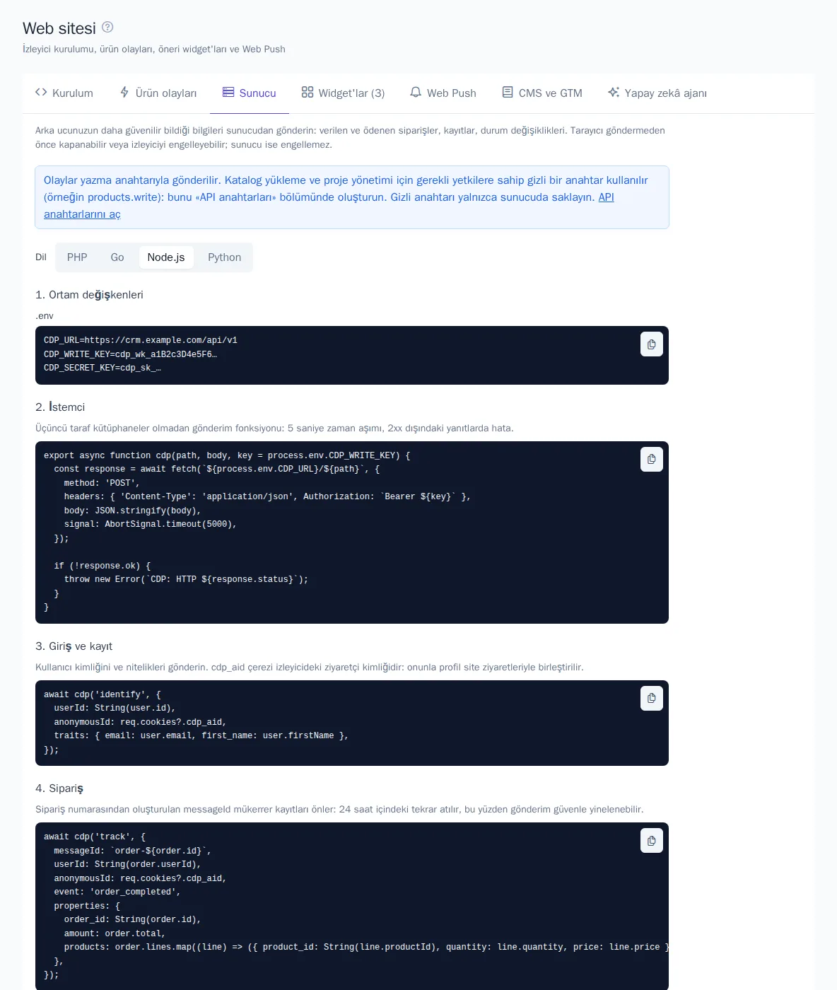 Node.js örnekleriyle “Sunucu” sekmesi